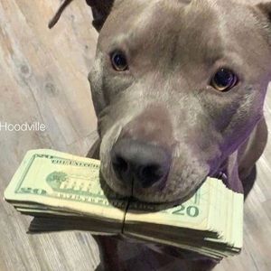 Meet your Posher, Sean